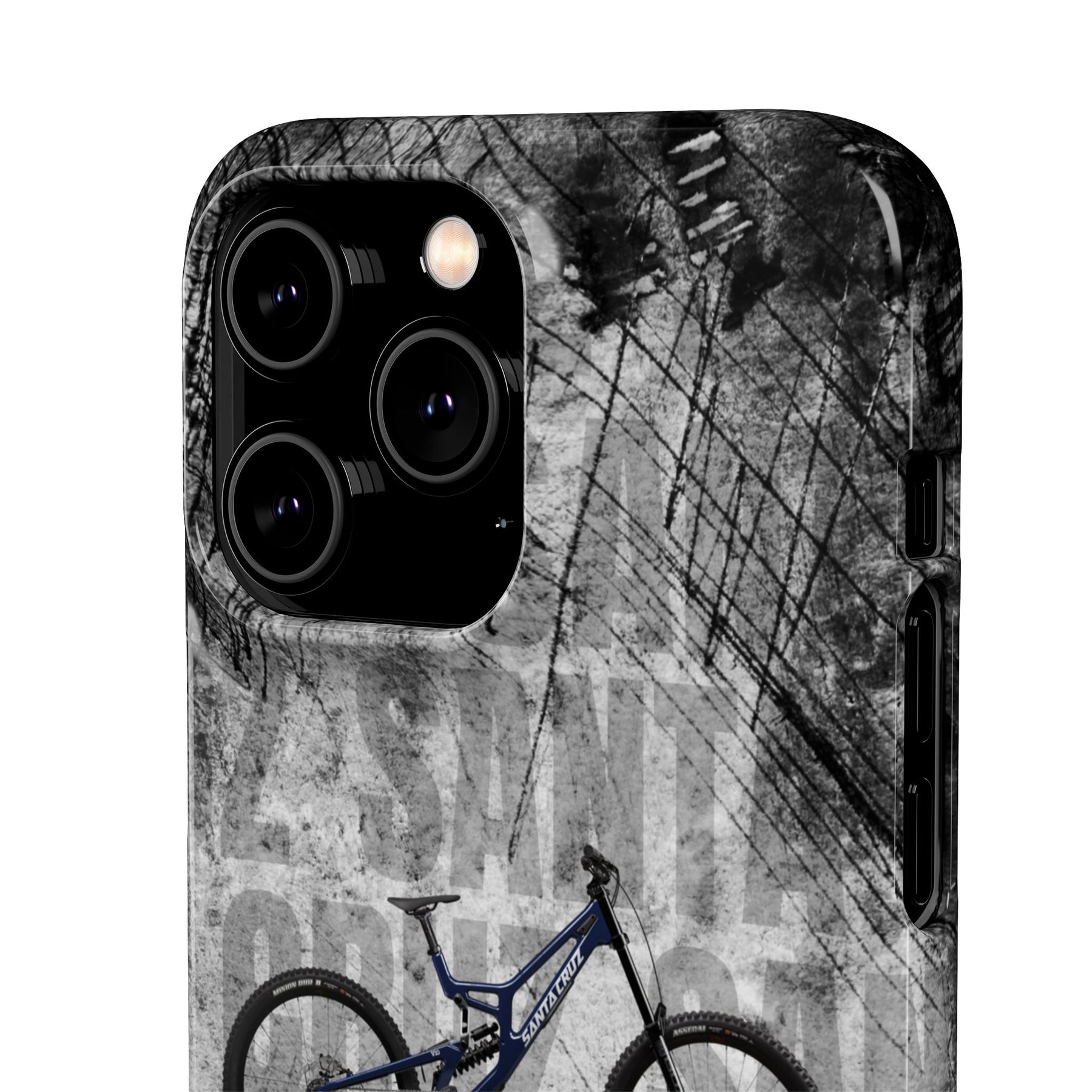 SANTA CRUZ DH S