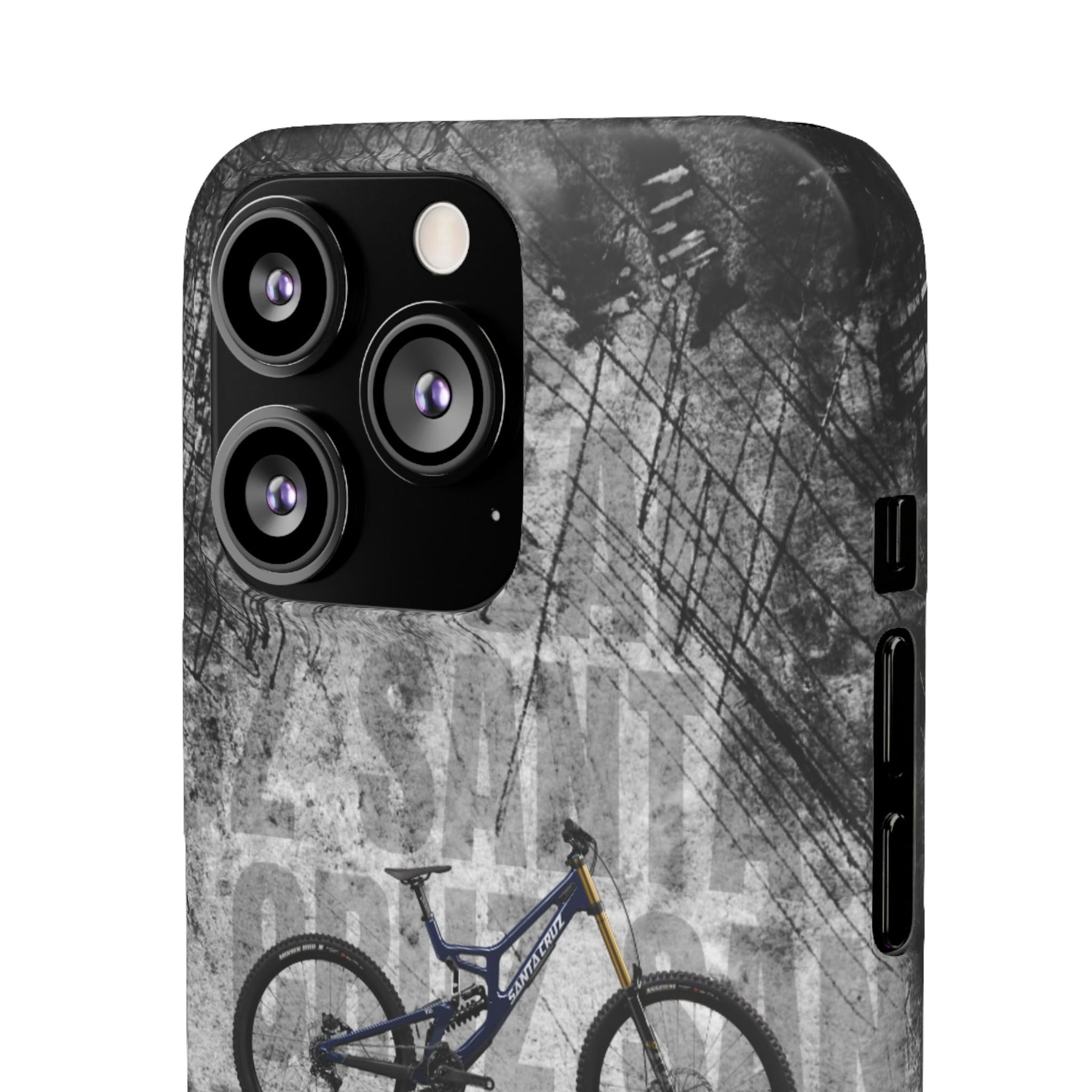 SANTA CRUZ V10 DH X01