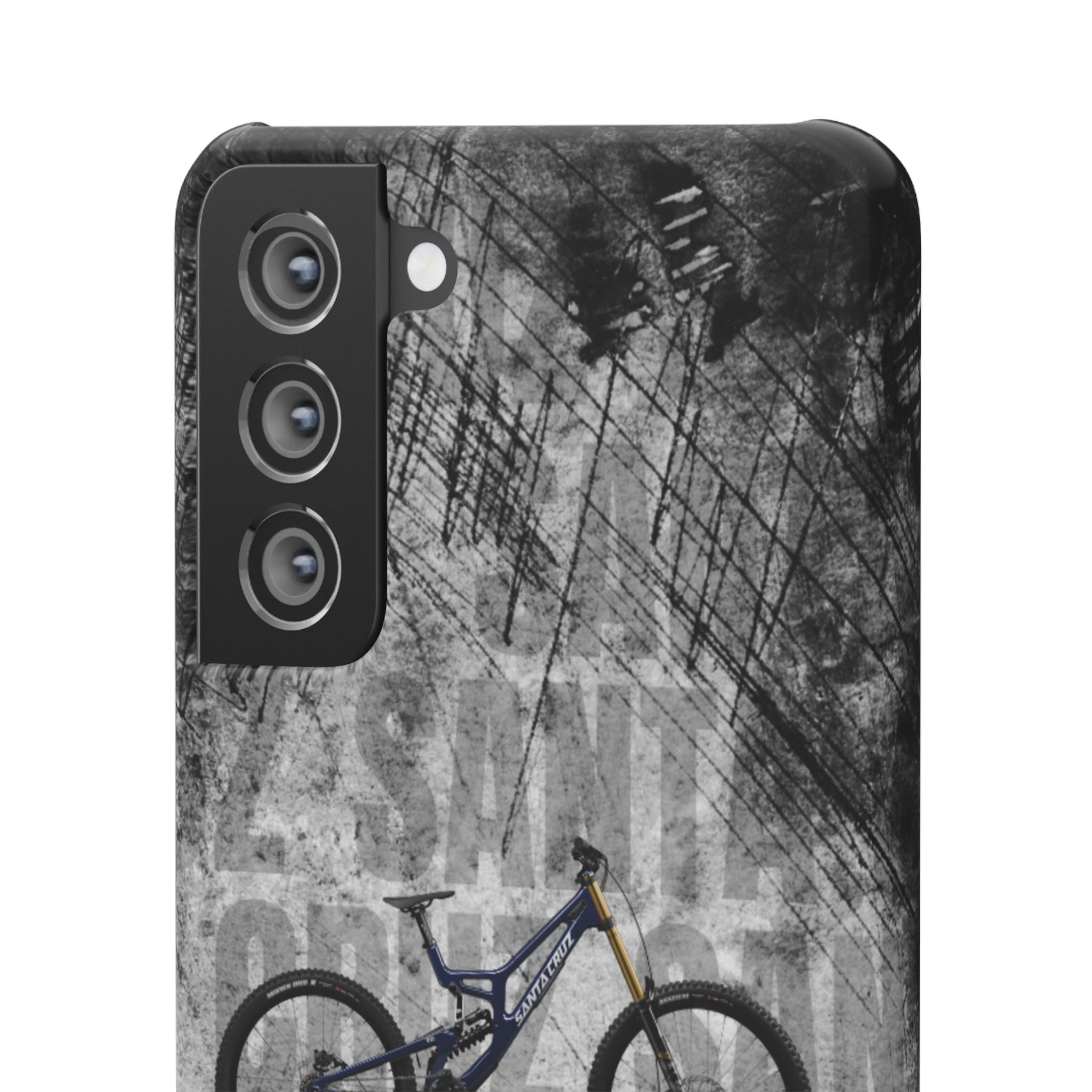 SANTA CRUZ V10 DH X01