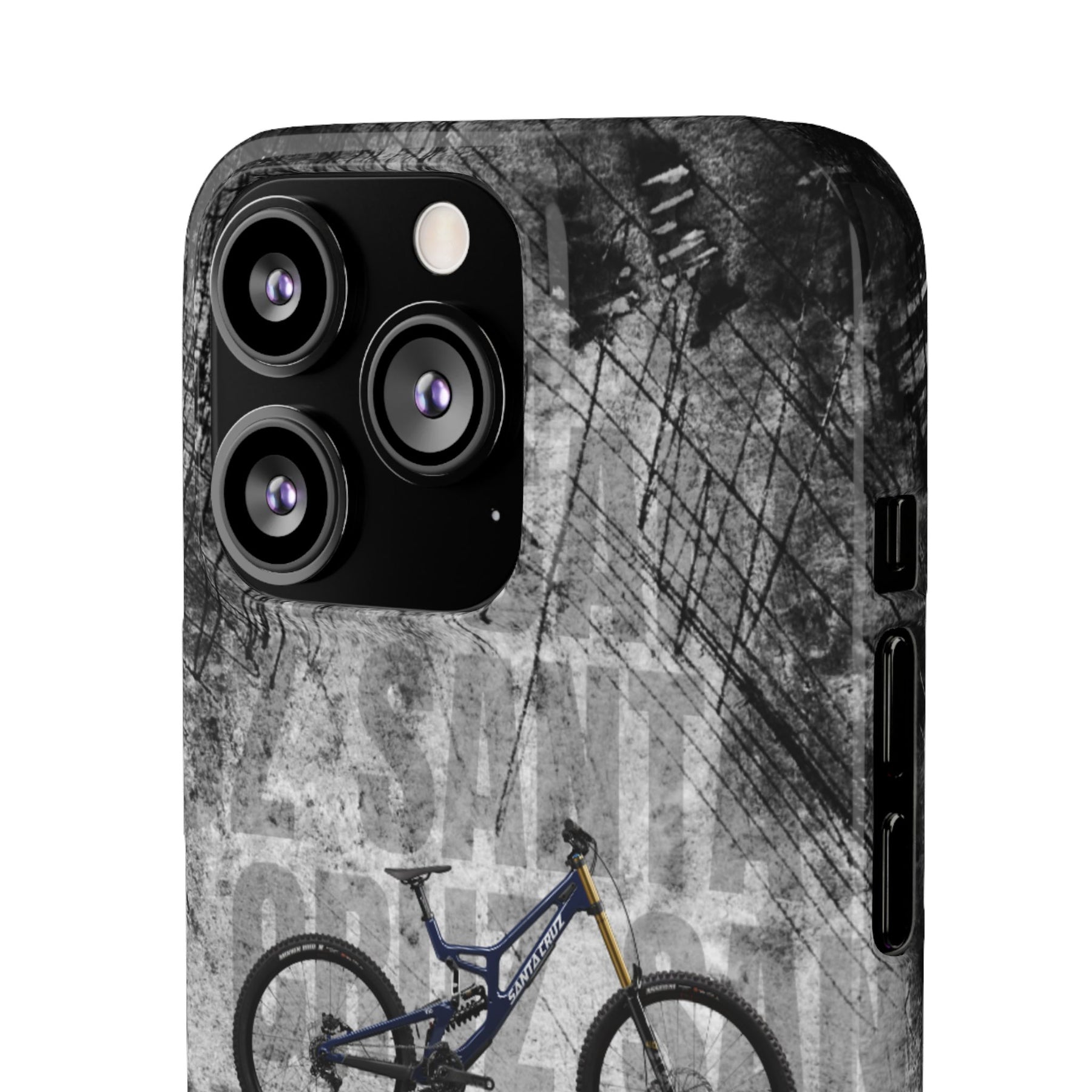 SANTA CRUZ V10 DH X01