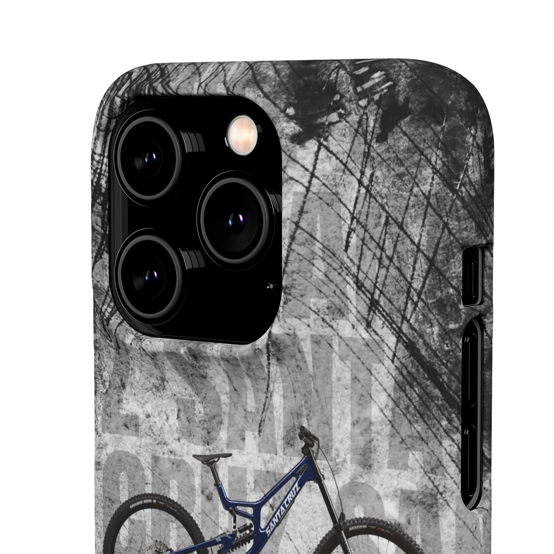 SANTA CRUZ DH S