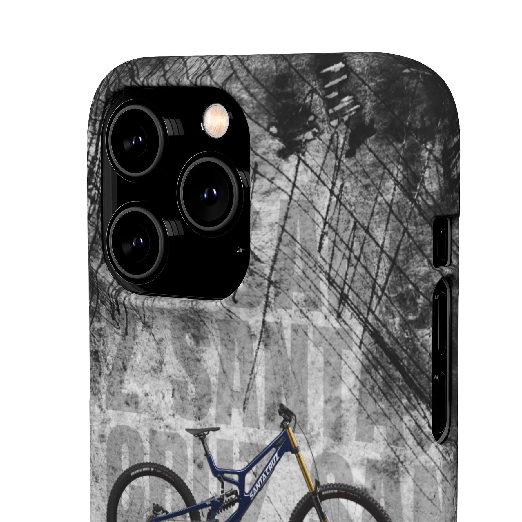 SANTA CRUZ V10 DH X01