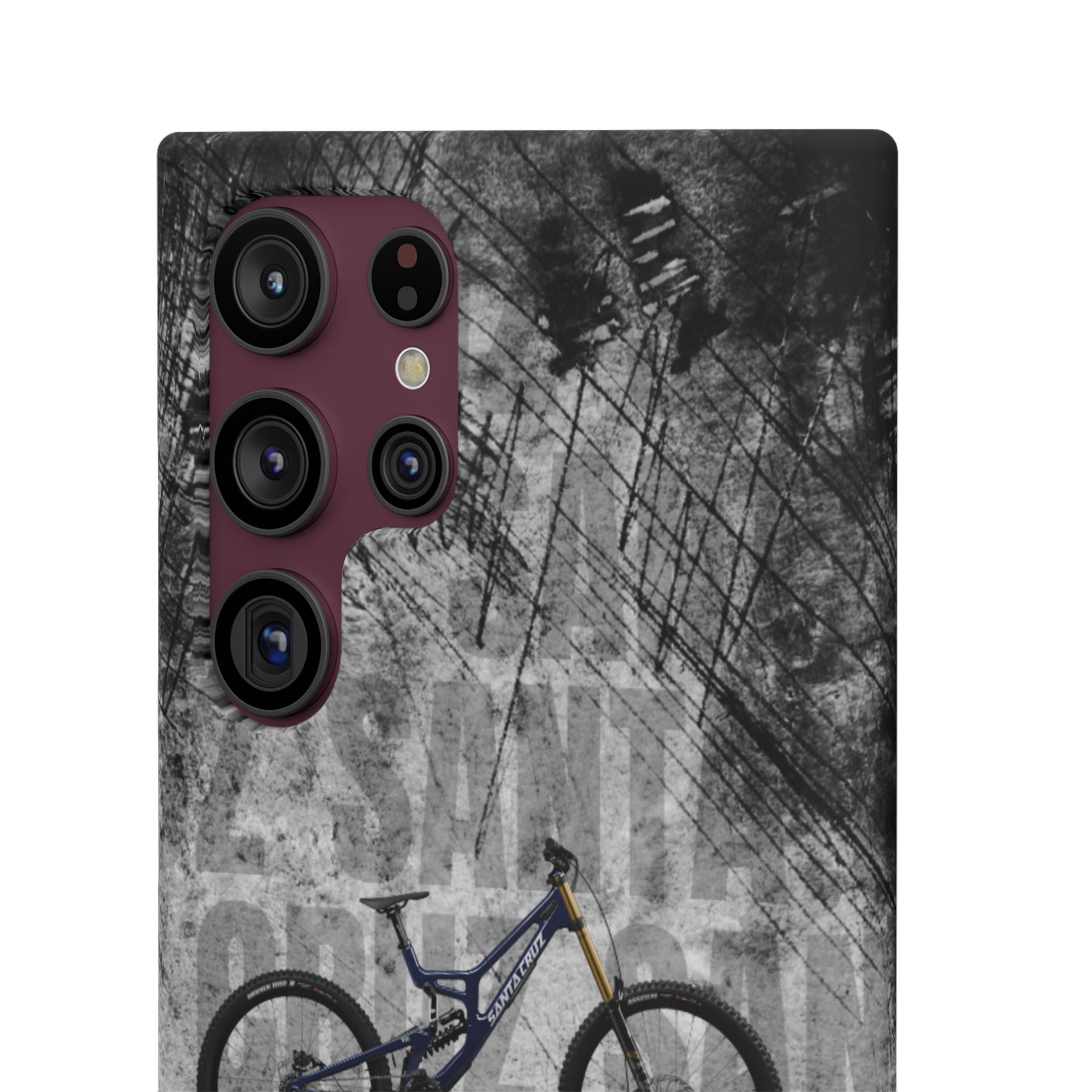 SANTA CRUZ V10 DH X01